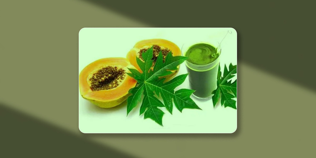 How Do Papaya Leaves Promote Digestive Health?