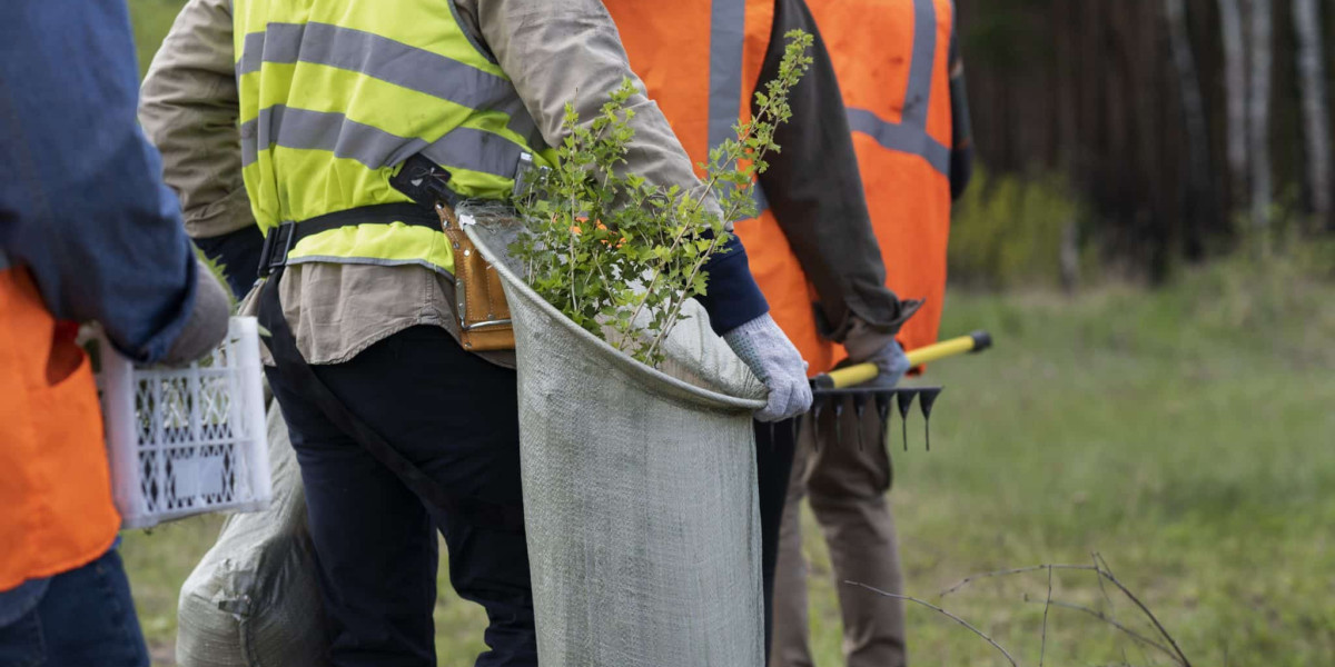 Affordable Tree Service Houston: Reliable, Professional, and Budget-Friendly