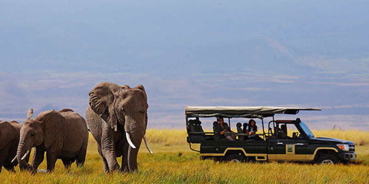 Safaris in Kenia: Ein Unvergessliches Abenteuer mit ZP Safari Kenya