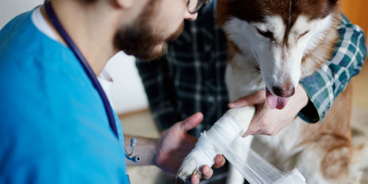 Emergency Cardiology: How Immediate Care Can Save Your Dog's Life