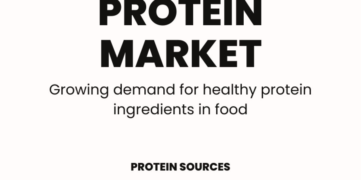 Europe Protein Ingredients Market  Insights 2025-2033| Growth & Opportunity Analysis