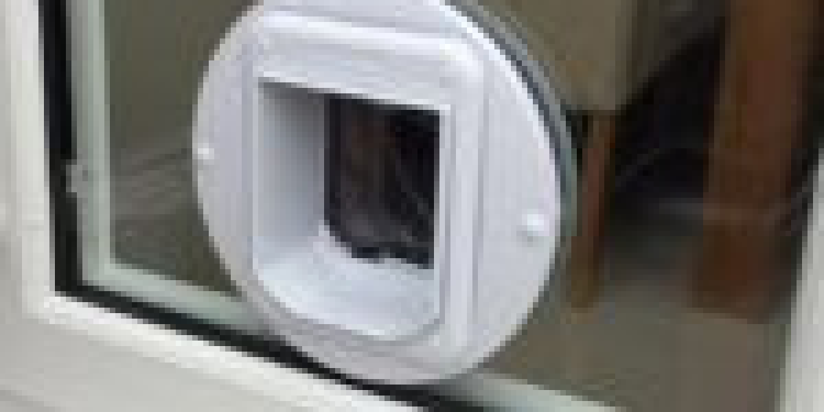 15 Astonishing Facts About Best Cat Flap Installer