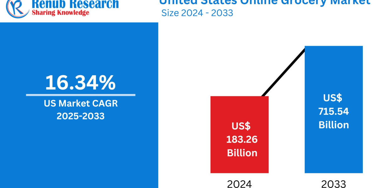 United States Online Grocery Market  Insights 2025-2033| Growth & Opportunity Analysis