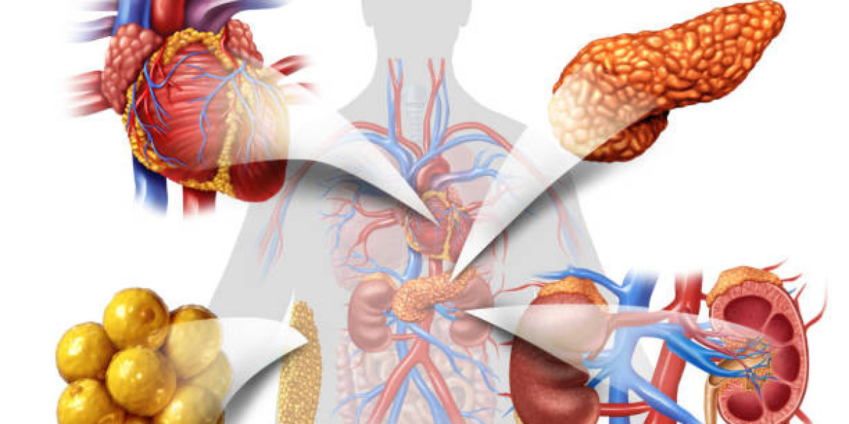 Dyslipidemia Market Player Analysis and Growth Opportunities - 2025