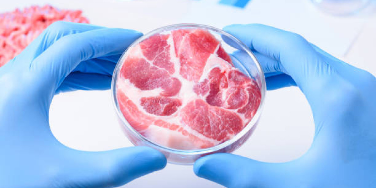 Cultured Meat Market Player Analysis and Growth Opportunities - 2025