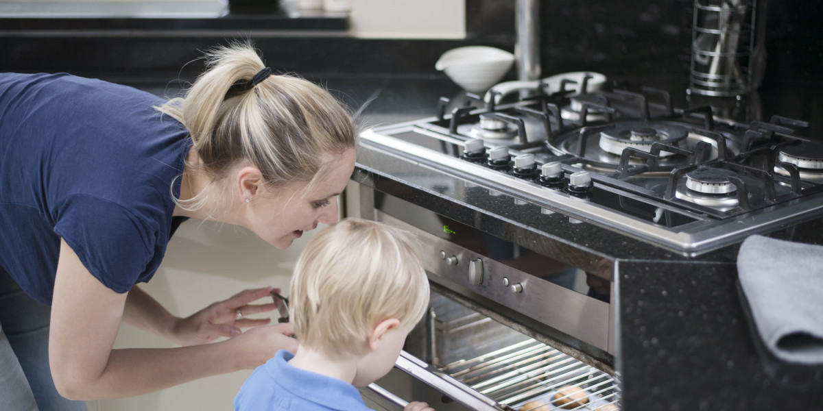 A Look Into The Future How Will The Built-In Range Oven Industry Look Like In 10 Years?