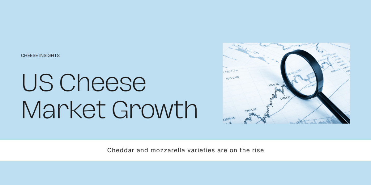 United States Cheese Market Companies Insights 2025-2033| Growth & Opportunity Analysis