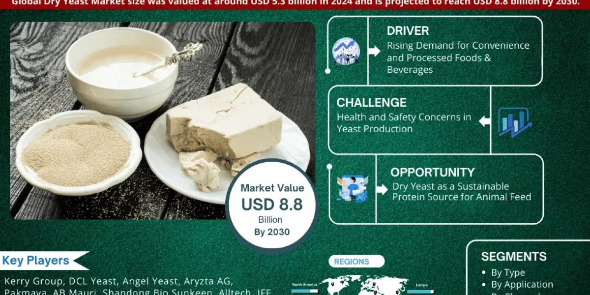 Dry Yeast Market Trend, Size, Companies, Top Player, and Outlook 2025 to 2030