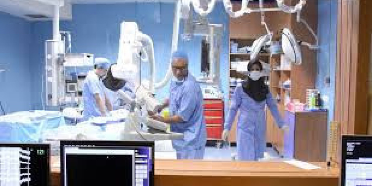 Pediatric Interventional Cardiology Market Companies Insights 2025-2033| Growth & Opportunity Analysis