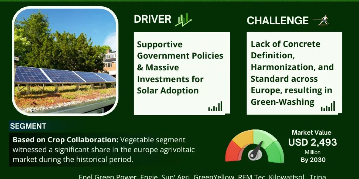 Europe Agrivoltaic Market Trend, Size, Companies, Top Player, and Outlook 2025 to 2030