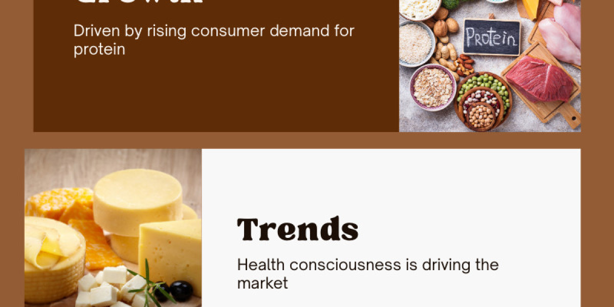 Protein Ingredients Market Companies Insights 2025-2033| Growth & Opportunity Analysis