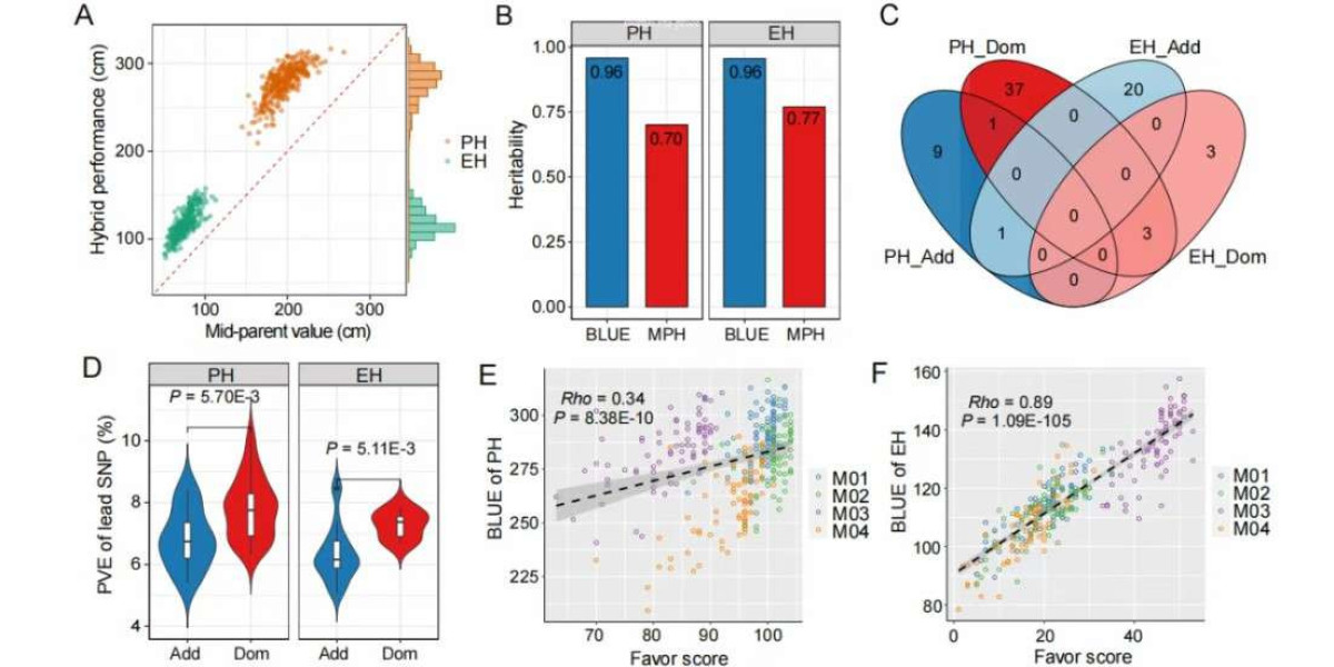 GWAS in Agriculture: Application Cases and Impacts on Agricultural Development