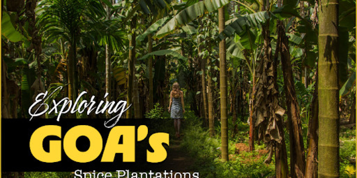 Exploring Goa’s Spice Plantations: A Unique Experience
