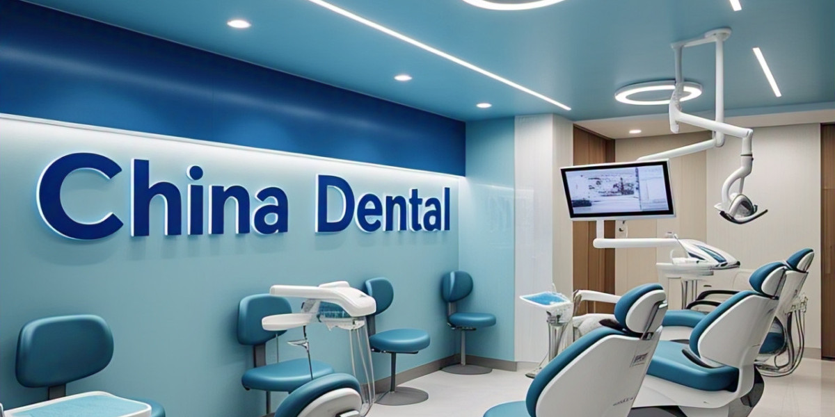 China Dental Market Size Forecast 2025-2033: Segmentation, Innovation, and Growth Drivers