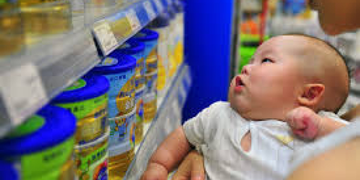 China Baby Food Market  Companies Insights 2025-2033| Growth & Opportunity Analysis