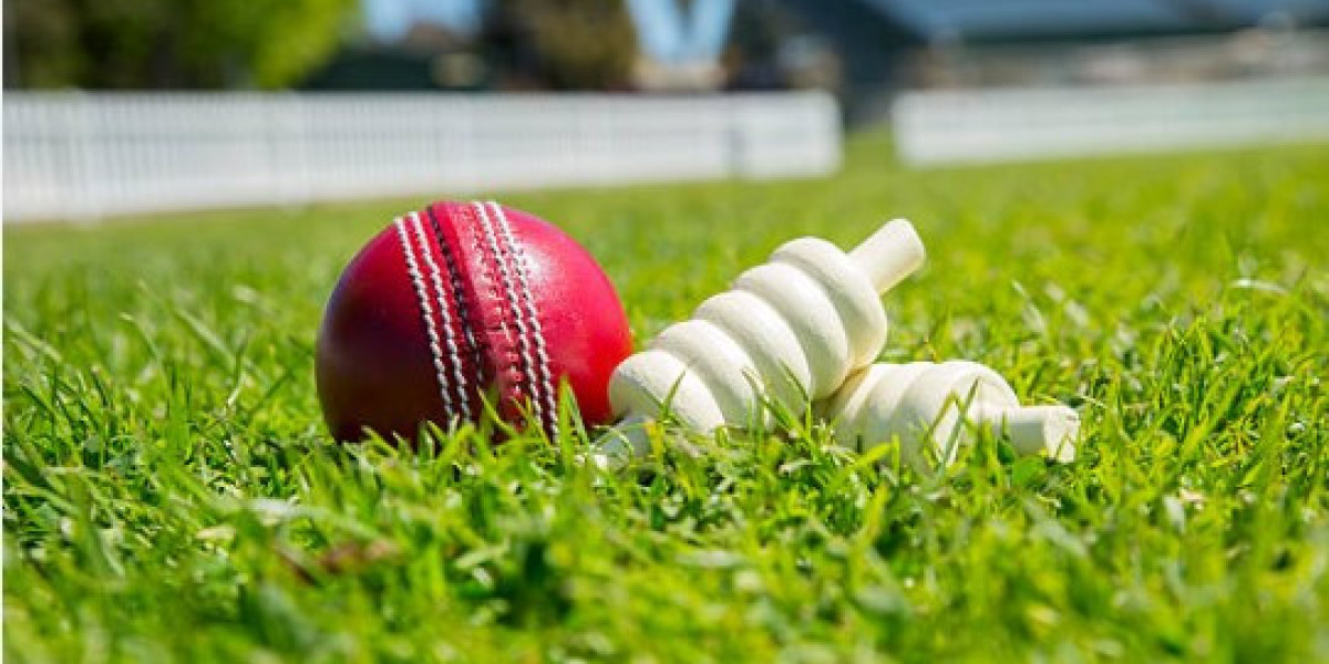 Looking for a Verified Online Cricket ID? Try Amiribook