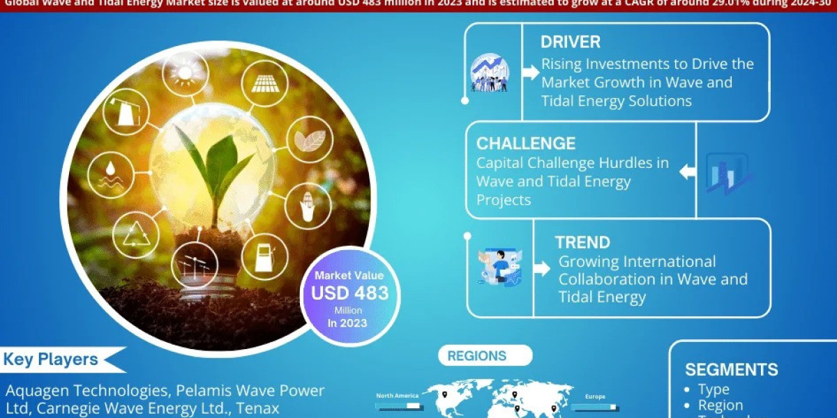 Wave and Tidal Energy Market Trend, Size, Companies, Top Player, and Outlook 2024 to 2030
