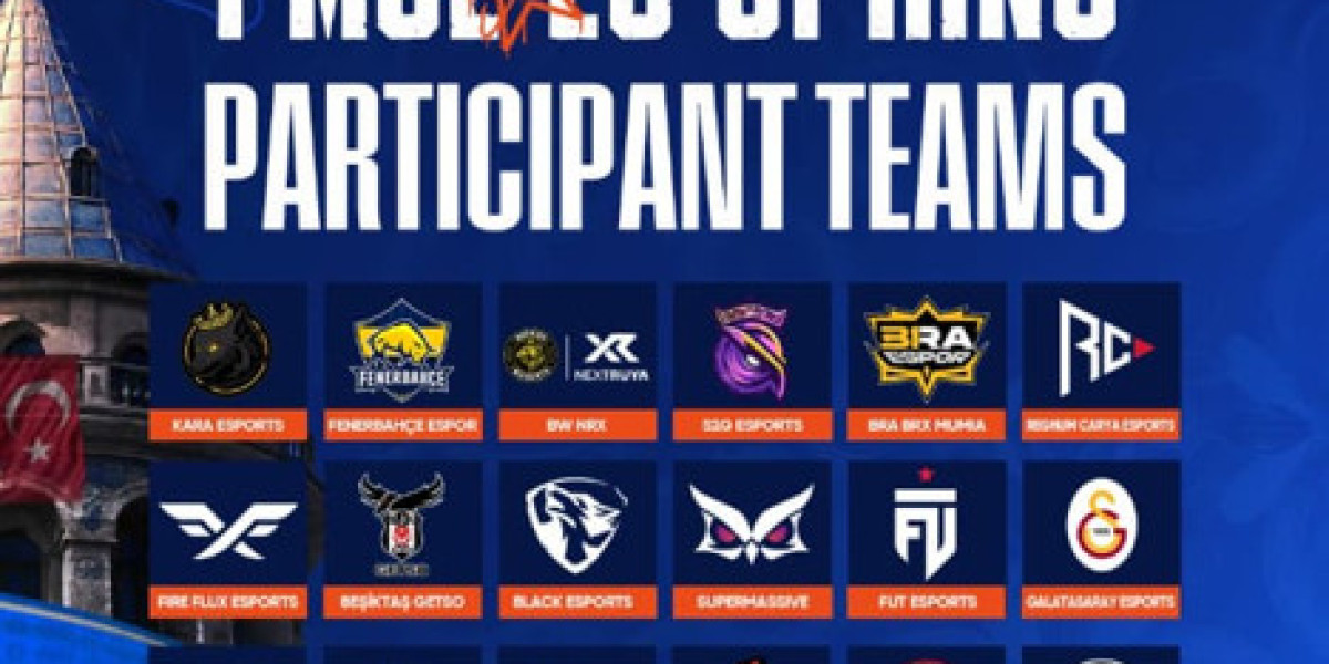 PUBG Mobile Super League Europe 2025: Dates & Details