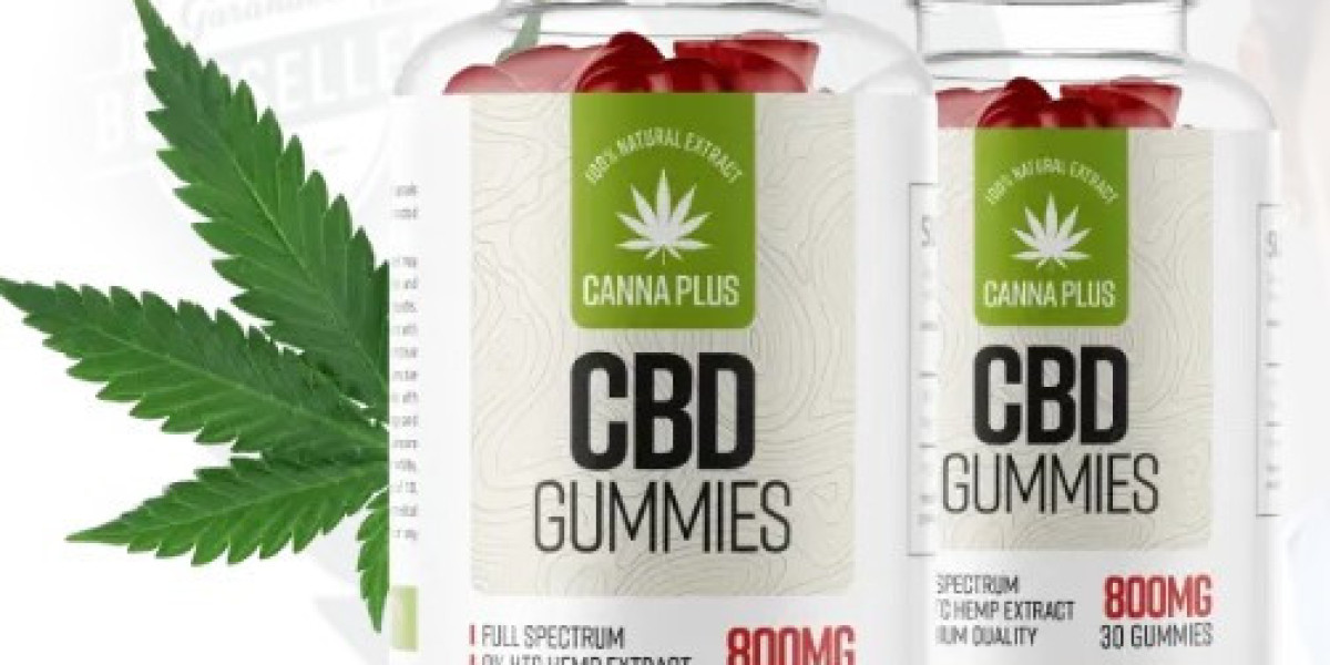 Combien de temps faut-il pour que Canna Plus CBD agisse ?