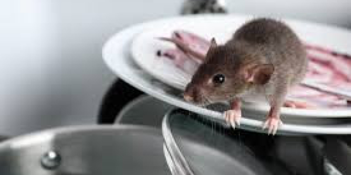 General Pest Control: Safeguarding Your Home and Health Year-Round