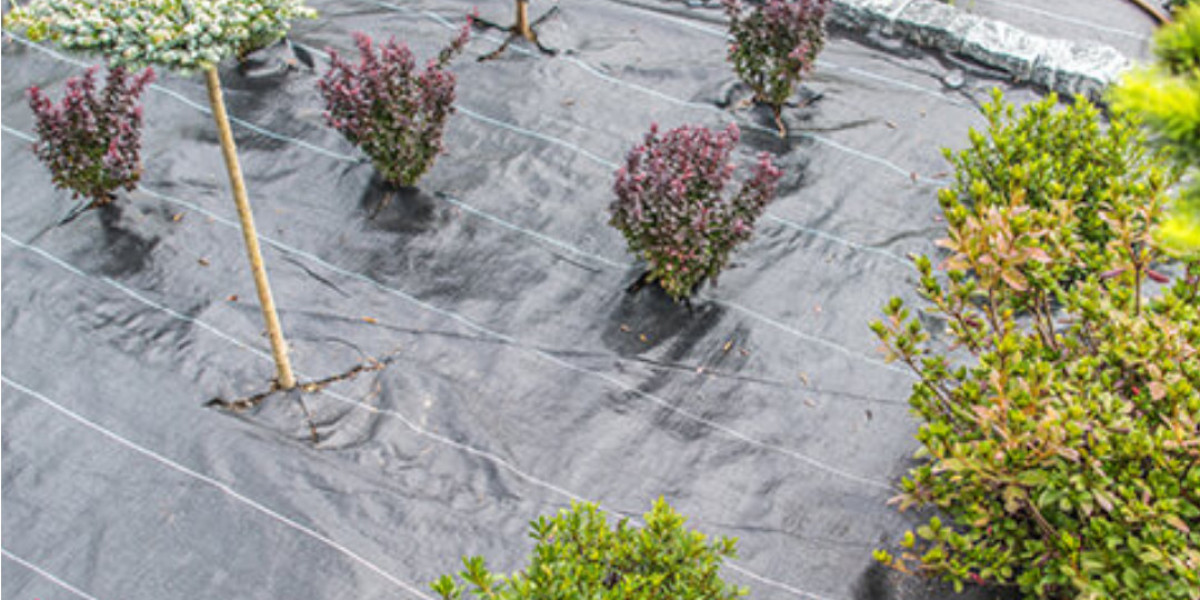 The Comprehensive Guide to Weed Barrier Fabric: A Game-Changer for Garden and Landscape Management