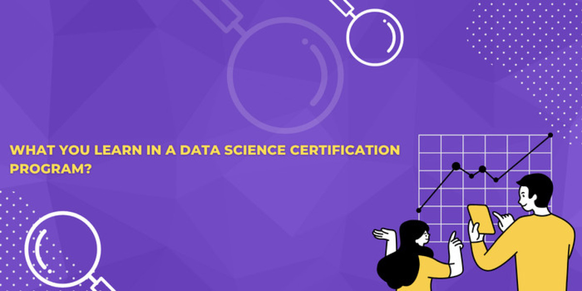 What You Learn in a Data Science Certification Program?