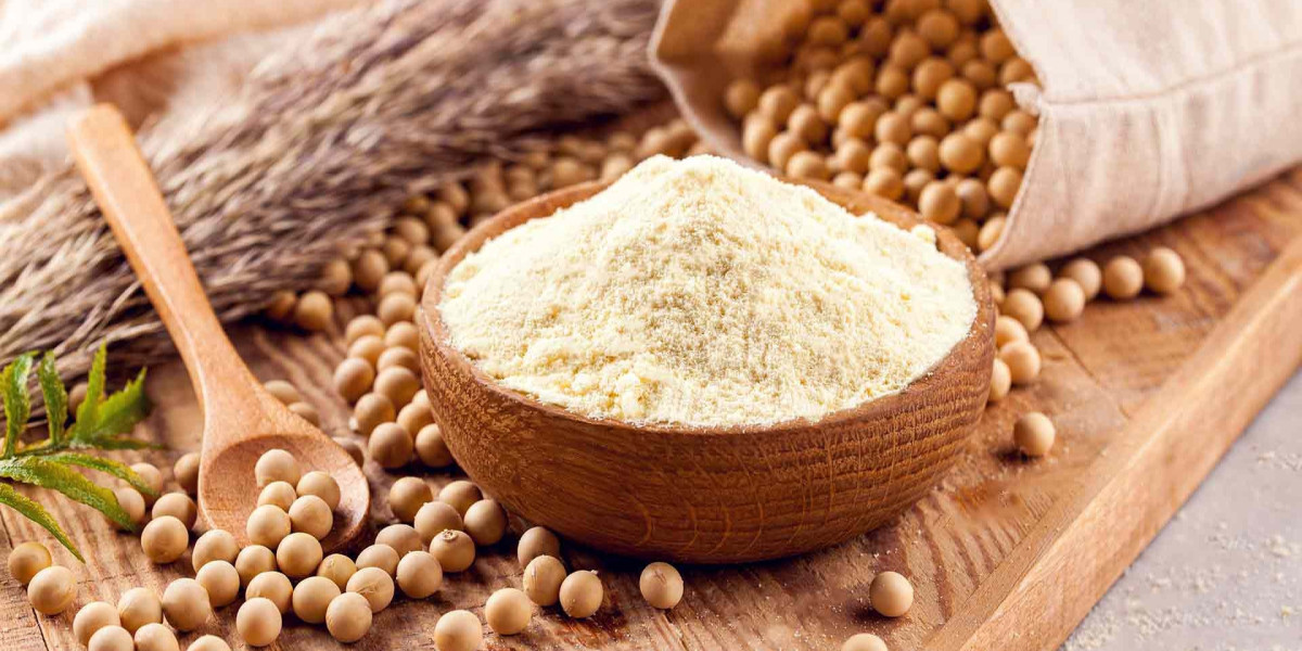 Soybean Powder Manufacturing Plant Project Report 2025: Business Plan, Machinery, and Investment Opportunities