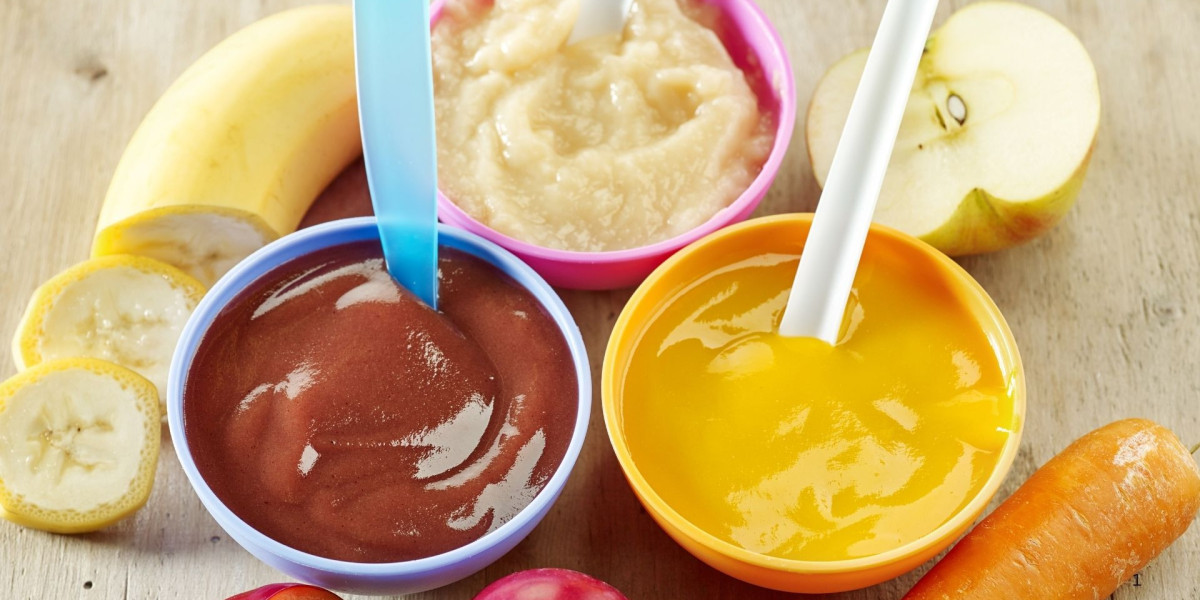 North America Organic Baby Food Market Set to Reach US$ 13.06 Billion by 2033