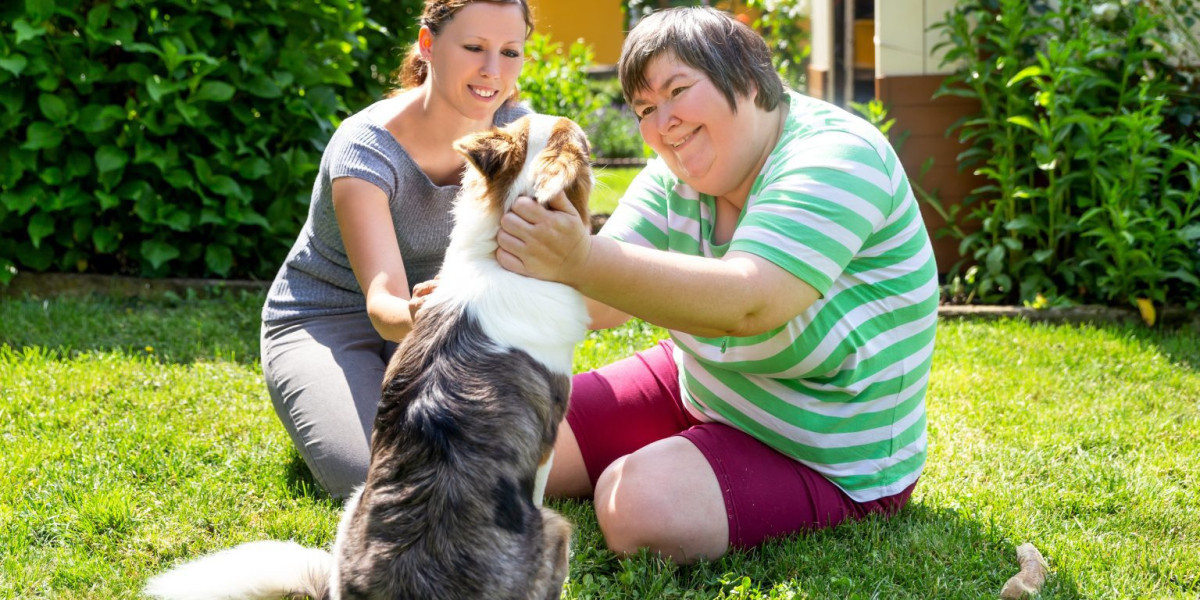 Empowering Lives with Quality Disability Support