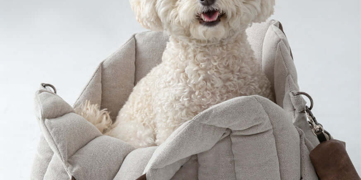 Why a Dog Carrier is a Must-Have for Every Pet Owner