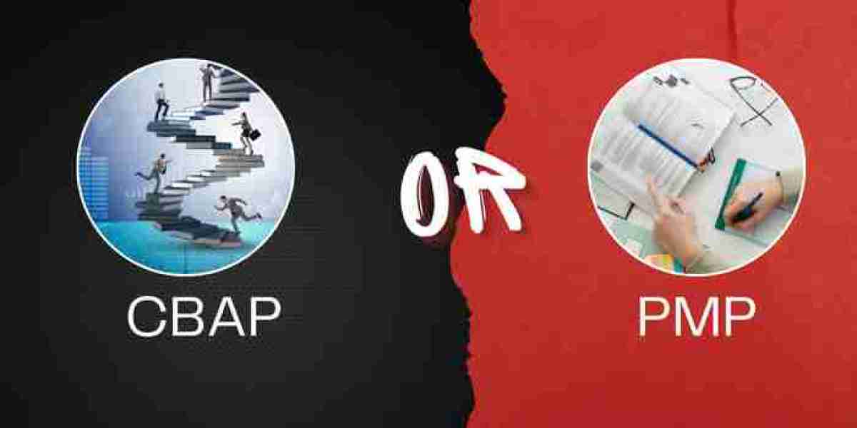 Which Is Better CBAP or PMP?