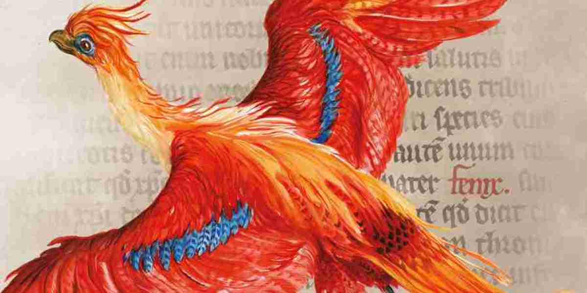 Harry Potter: A History of Magic – NY Events Guide
