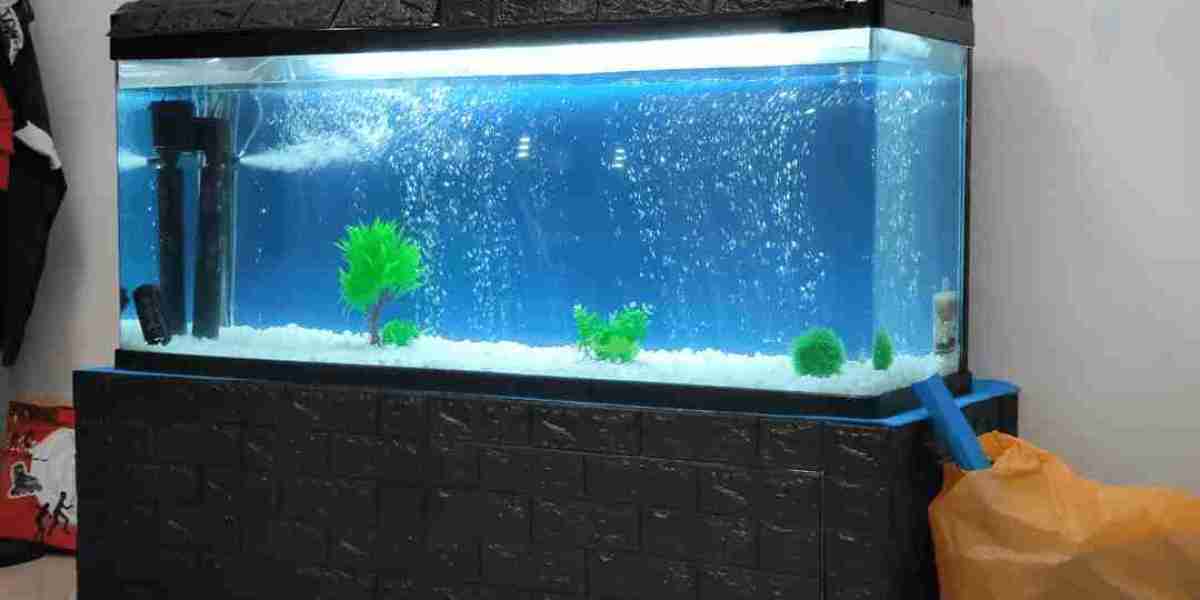 The Ultimate Guide to a 100-Gallon Fish Tank: Uses, Advantages, and Disadvantages