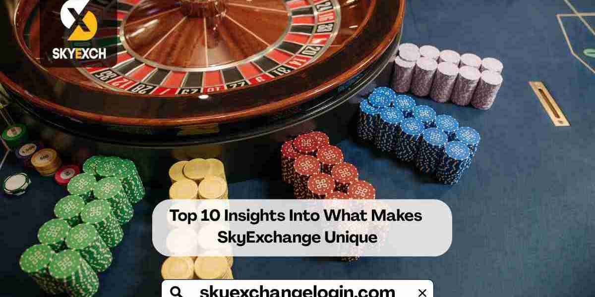 Top 10 Insights Into What Makes SkyExchange Unique
