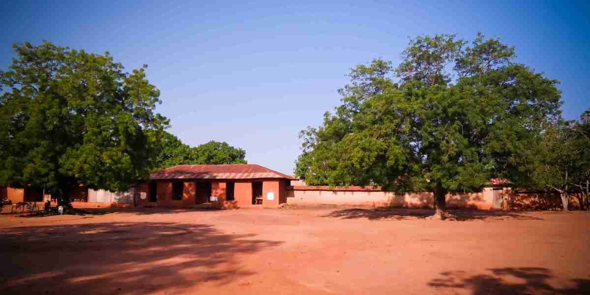Top Cultural Festivals to Experience in Benin
