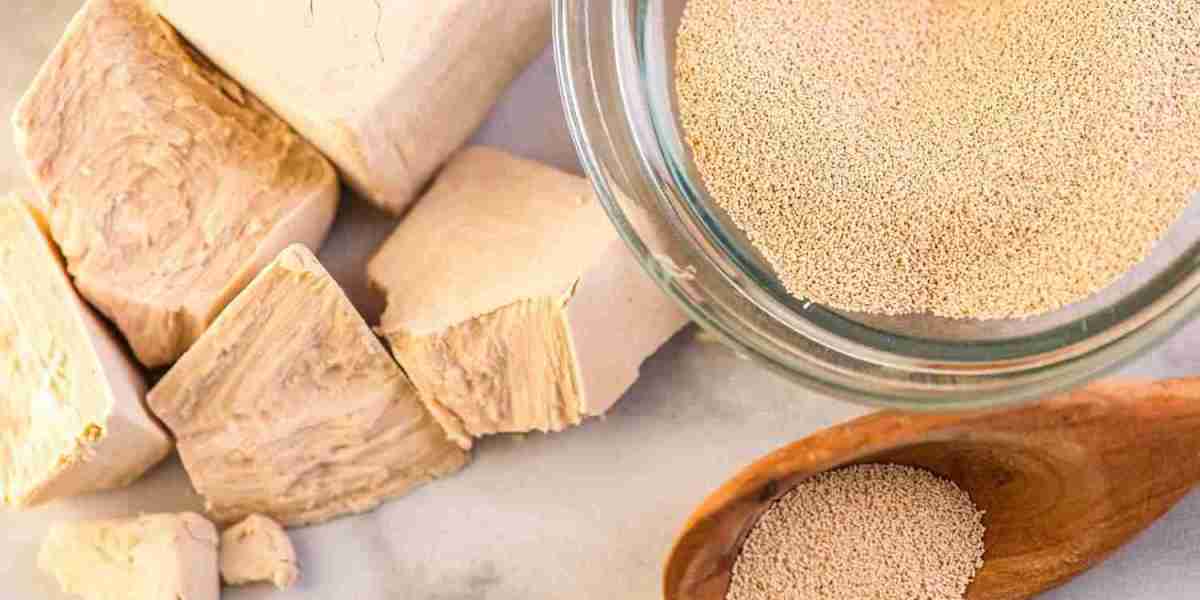 Requirements for Setting Up a Yeast Manufacturing Plant