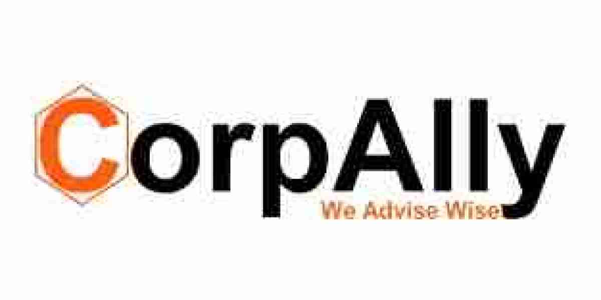 Tax Representation and Litigation Services
