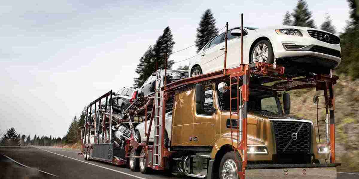 Preparing Cars for Humidity and Coastal Salt Exposure