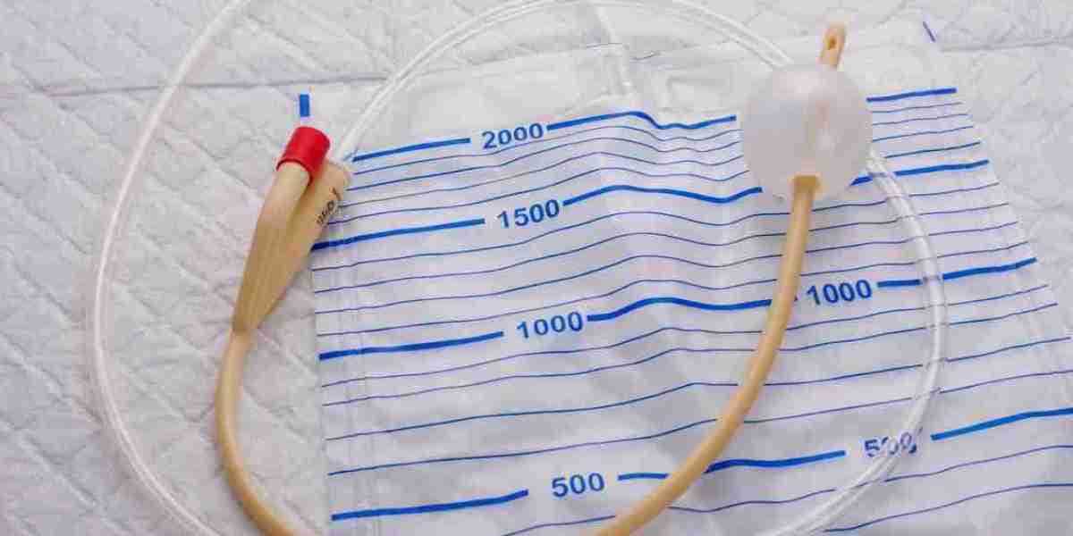 Project Report on Catheter Manufacturing Plant 2025: Cost Involved
