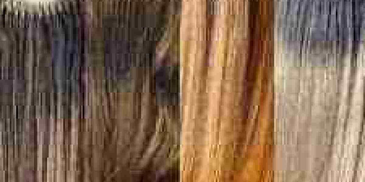 Brazillian Knot Extension