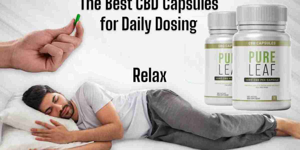 Why Choose PureLeaf CBD UK – A Natural Option for Daily Wellness