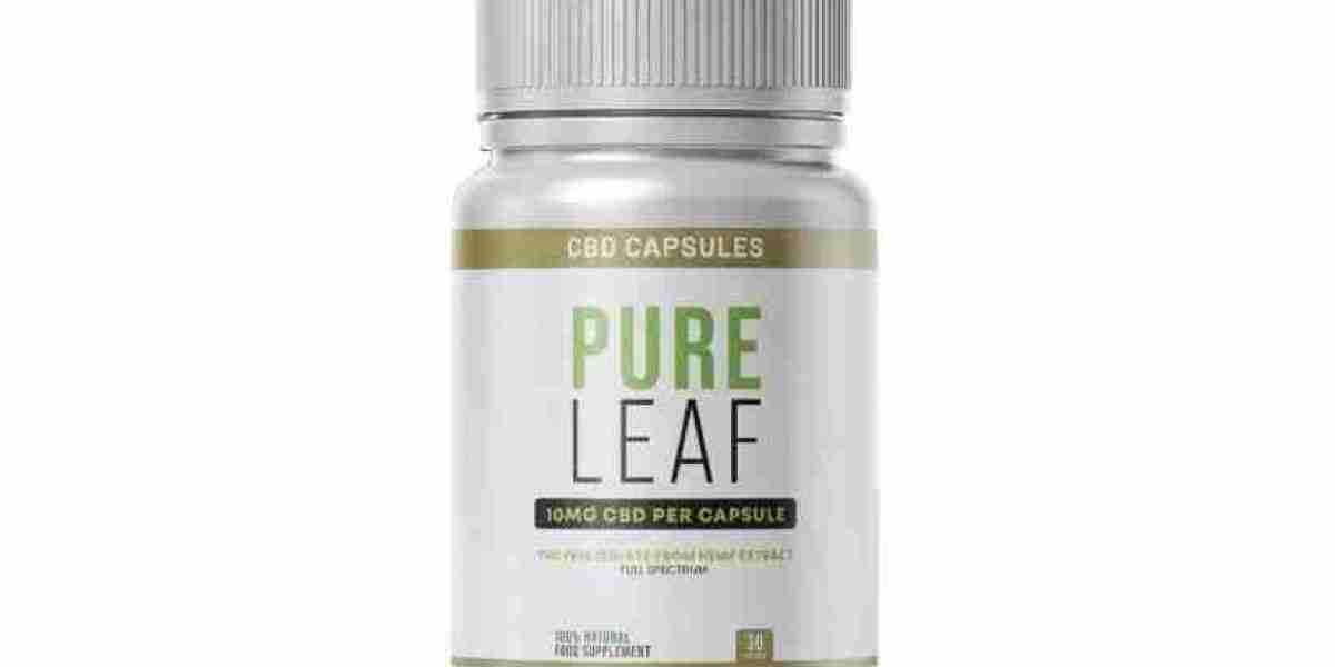 PureLeaf Capsules UK Reviews (Price 2025) – How Does It Work?