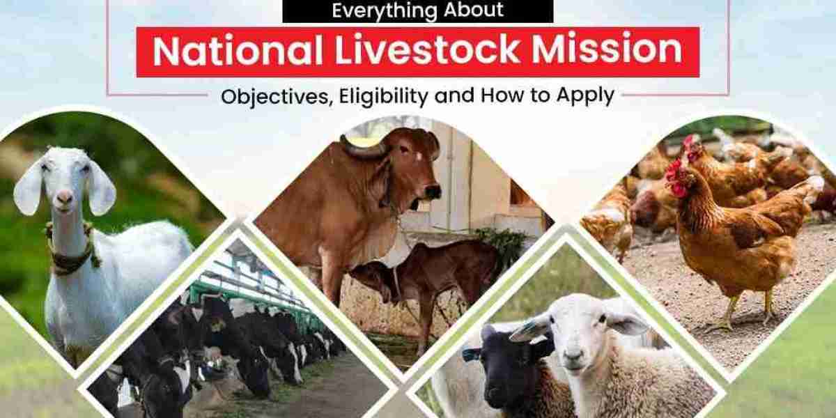 Read How The National Livestock Mission Work for Productivity