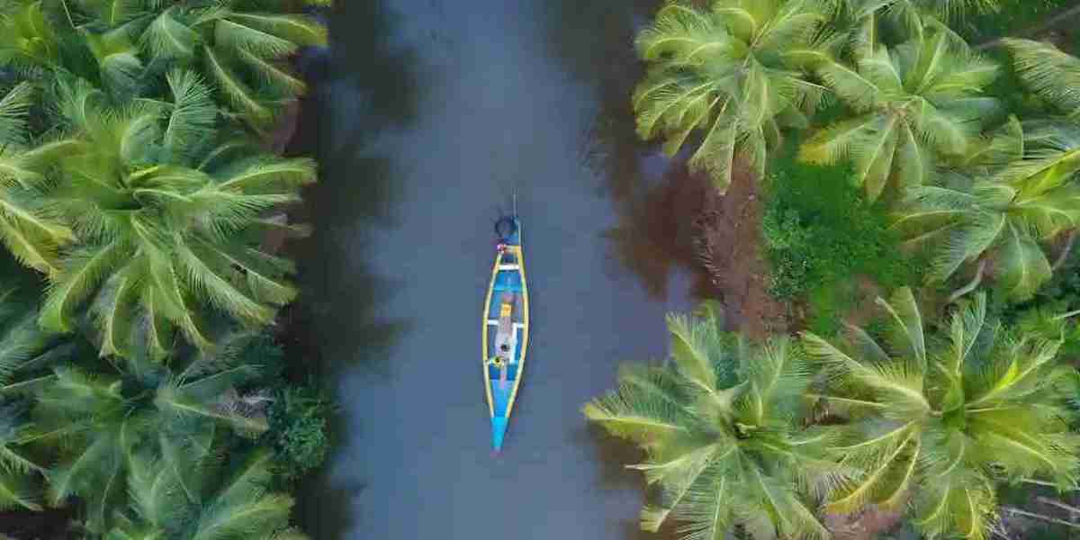 Kerala Honeymoon Packages from Ahmedabad | Tripspray