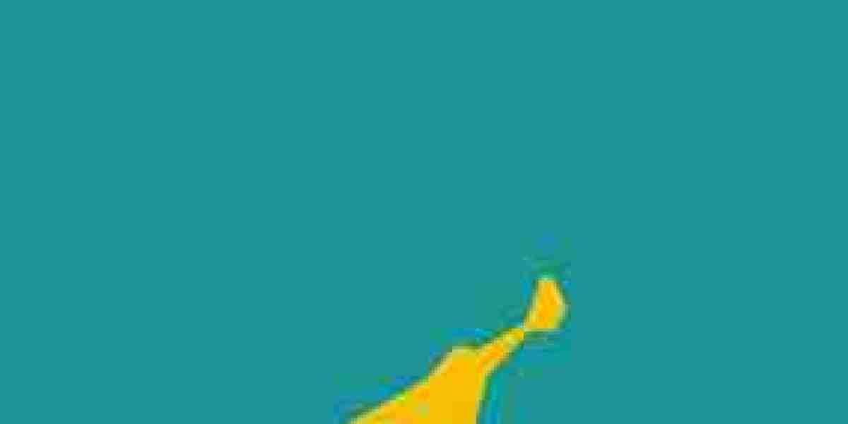 Discover the Best Digital Marketing Institute in Kerala and Kochi to Launch Your Dream Career