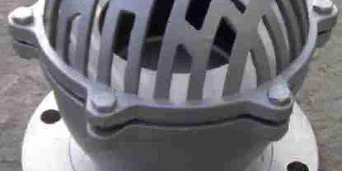 Foot Valve Manufacturer in Canada