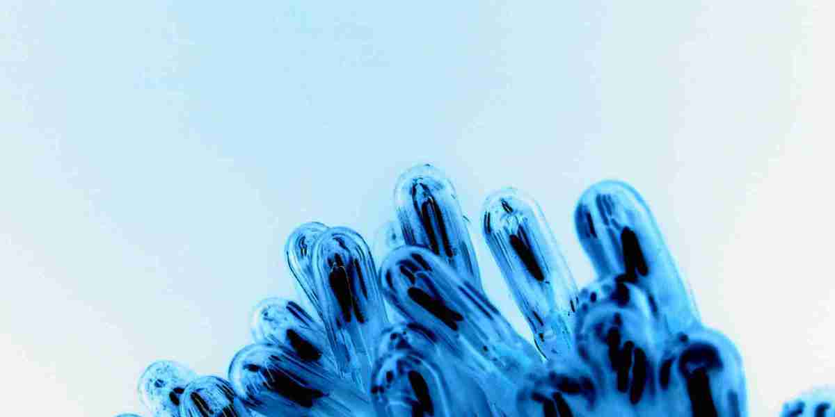 High, Low, & Regular Creatinine Ranges: What This Blood Test Means