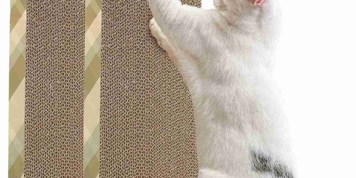Choosing the Perfect Cat Scratcher for Your Feline Friend