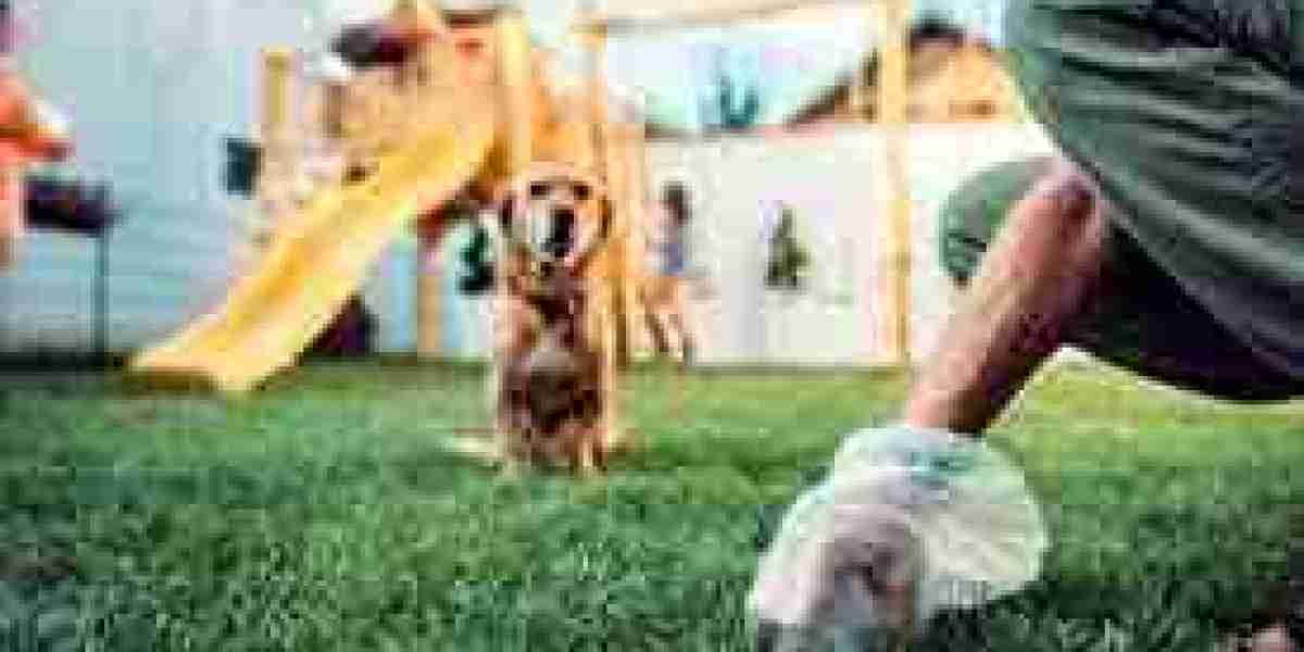 Dog Poop Removal Las Vegas: Keeping Your Yard Clean and Safe