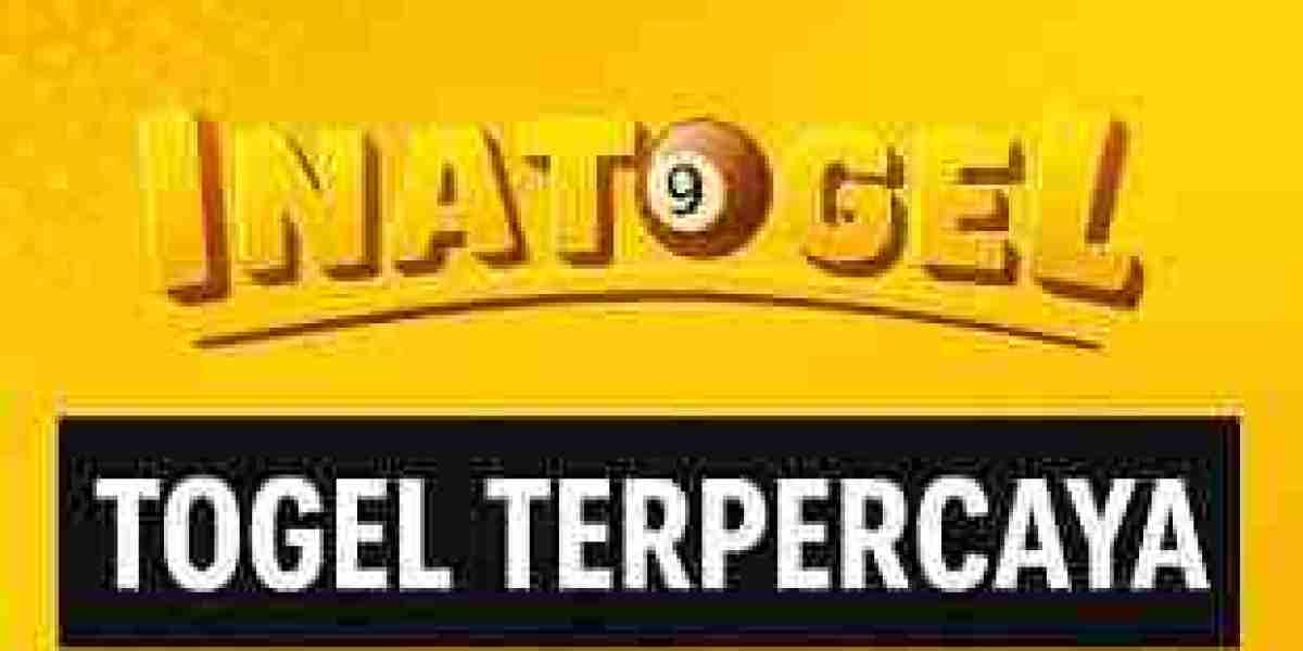 Understanding Inatogel: A Comprehensive Overview